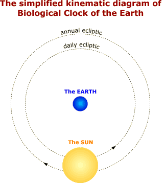 Simplified kinematical scheme of Biological clock of the Earth