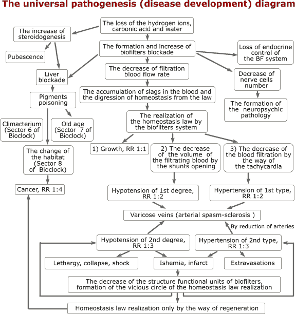 The universal pathogenesis (disease development) diagram